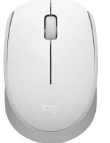 MOUSE LOGITECH M170 WIRELES OFF-WHITE